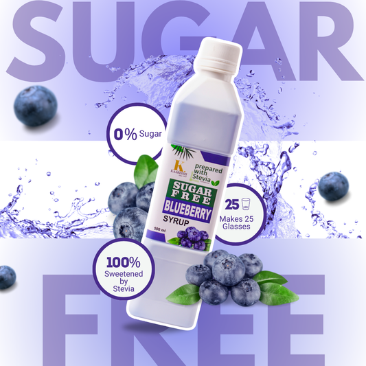 Sugar Free Blueberry Syrup (Flat 14% Discount)